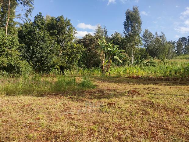 Nyeri/Kangaita 3 Acres - thumbnail 19