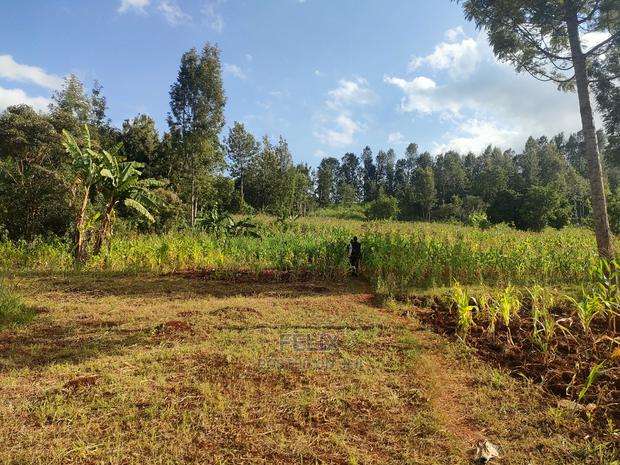 Nyeri/Kangaita 3 Acres - thumbnail 17