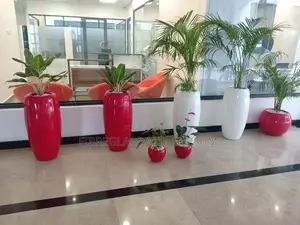 Fibreglass Flower Pots/Planters