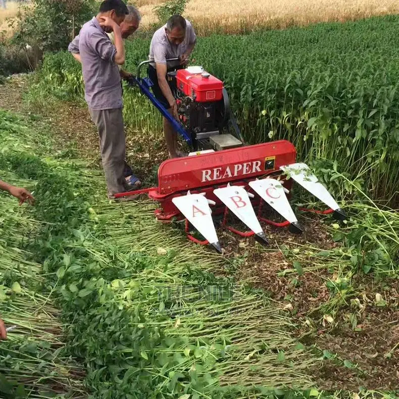 Small Scale Walking Tractor Maize Harvester