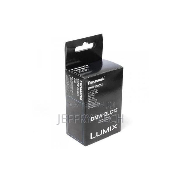 Panasonic Dmw-Blc12 Panasonic Battery for Lumix Gh5 Cameras.