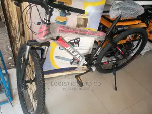Adult Bicycle Size 24