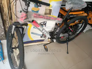 Adult Bicycle Size 24