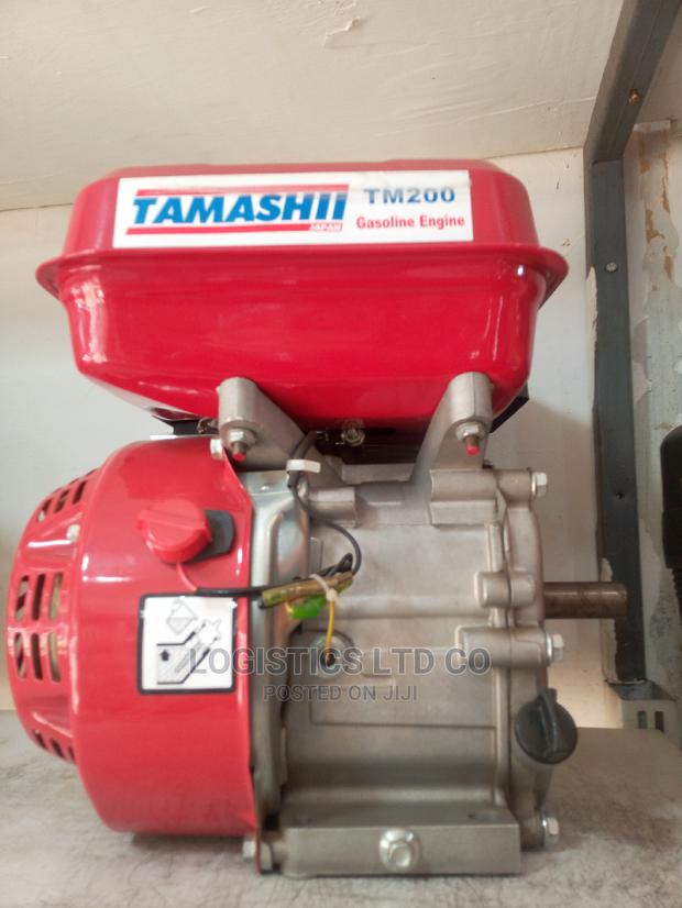Tamashi Petrol Engine 6.5hp