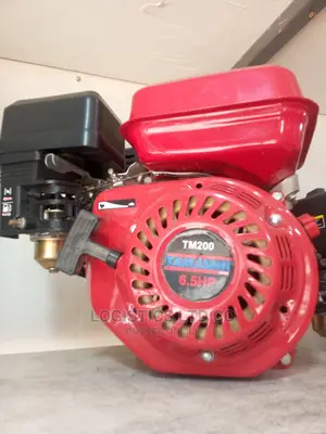 Tamashi Petrol Engine 6.5hp