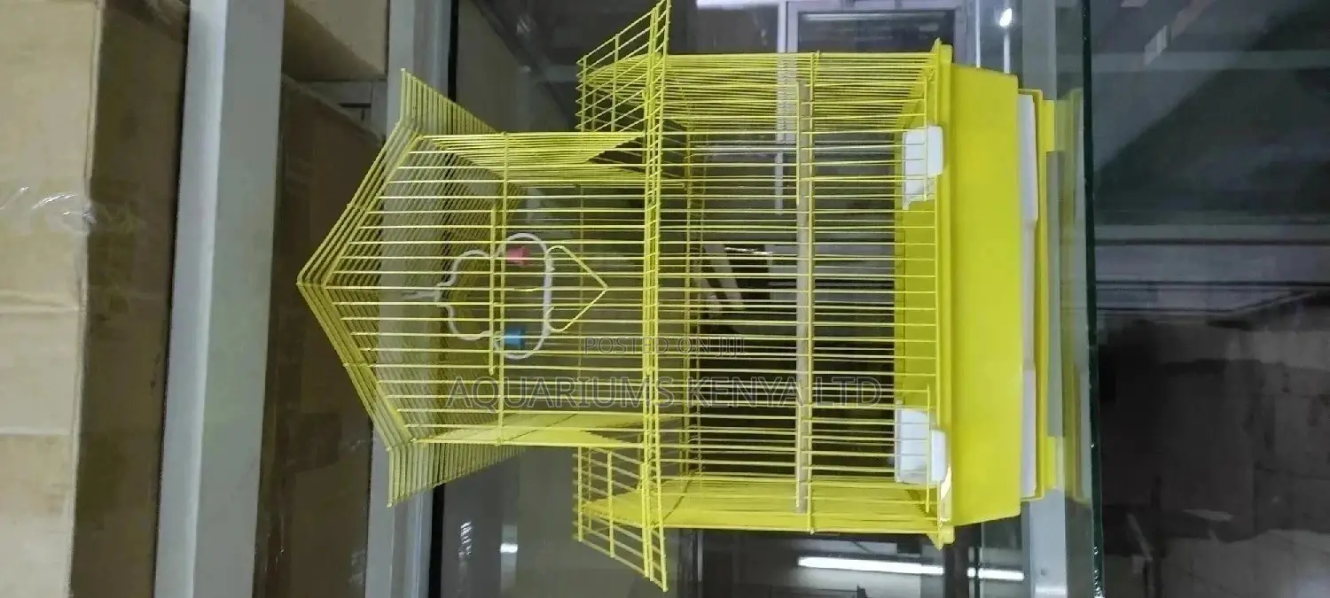 Bird Cage, Love Bird Cage, Bardgies Cage, Cocktails Cage