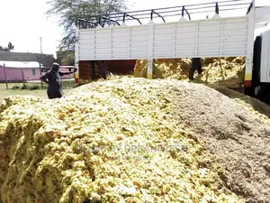 Feedlot / Fattening Silage 100kg Per Bale :Quoted 10T.