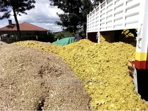 Feedlot / Fattening Silage 100kg Per Bale :Quoted 10T.