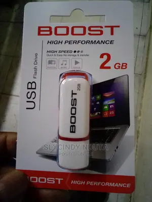 Boost 2gb Performance Usb