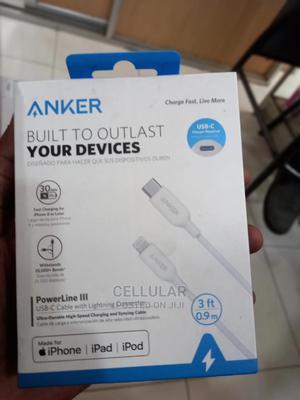 Anker Powerline III USB C Cable With Lightning Connector - main view