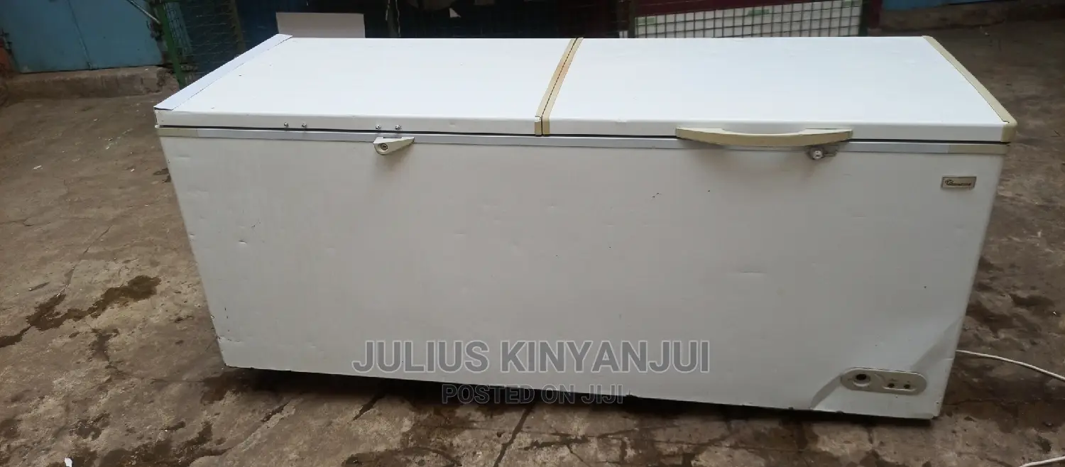 Double Door Freezer 750L