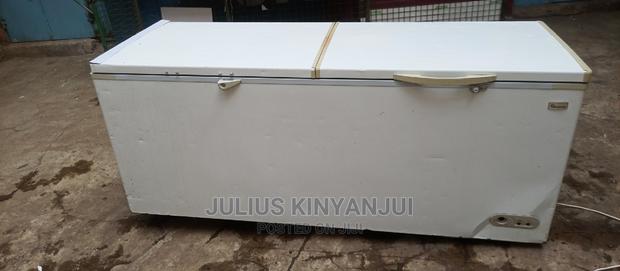 Double Door Freezer 750L