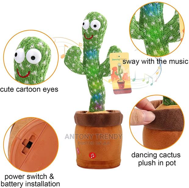 Green Dancing Cactus - main view