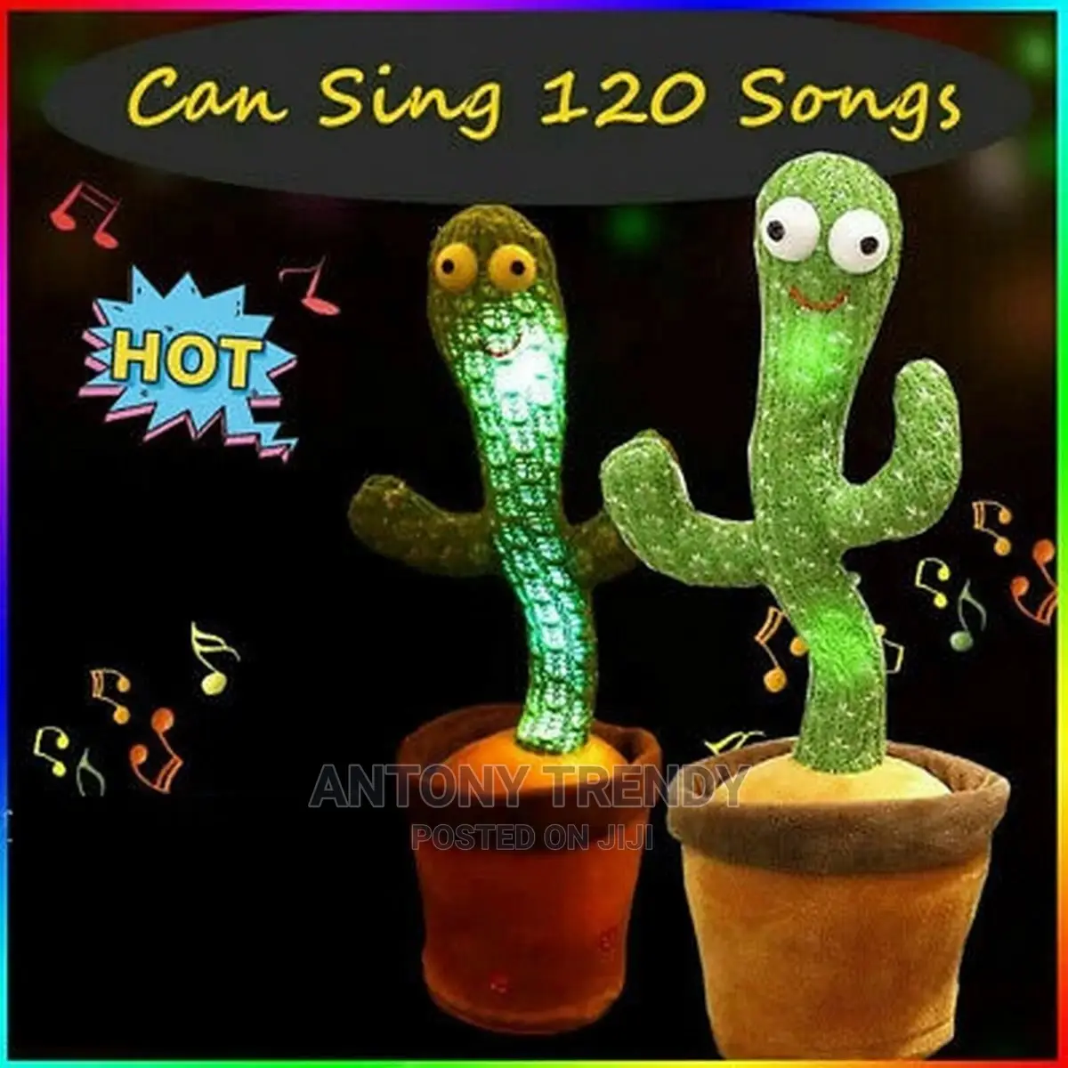 Cactus Toys for Kids