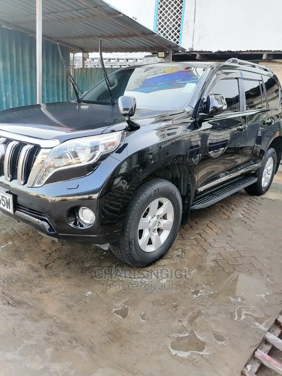 Car Hire Services