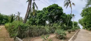 Prime 1 Acre on Sale at Mtwapa Animo Area.