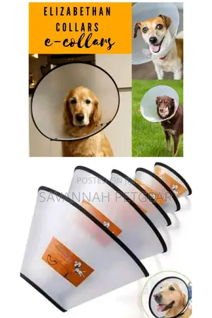 Elizabethan Collar E Collar Pet Cone For Dogs And Cats