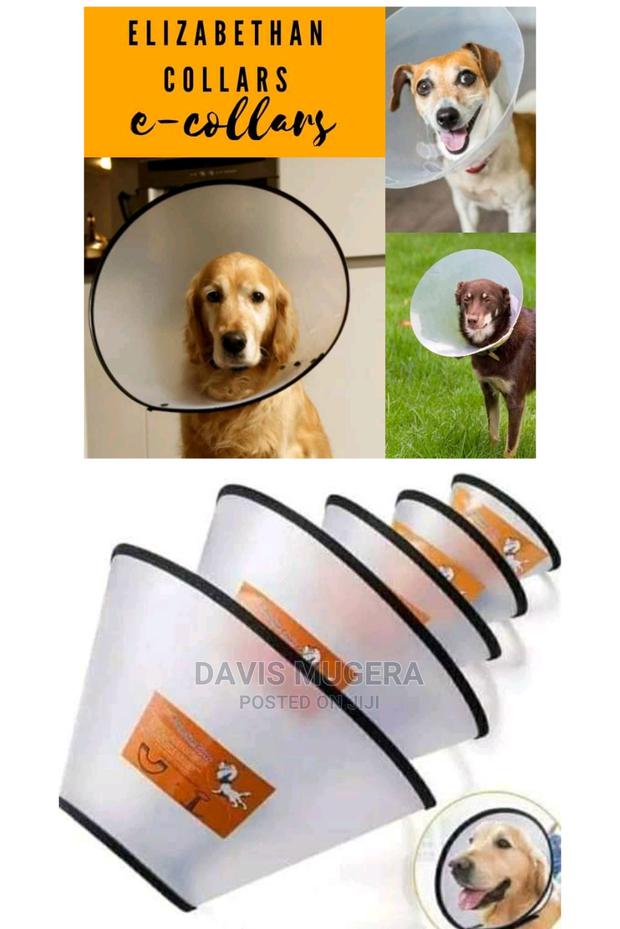 Elizabethan Collar E Collar Pet Cone For Dogs And Cats - thumbnail 3