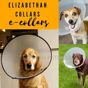 Elizabethan Collar E Collar Pet Cone For Dogs And Cats
