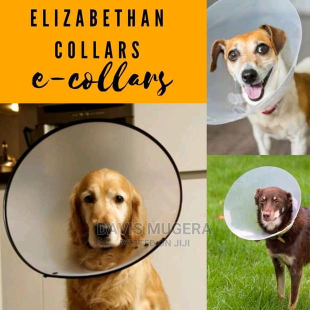 Elizabethan Collar E Collar Pet Cone For Dogs And Cats - thumbnail 6