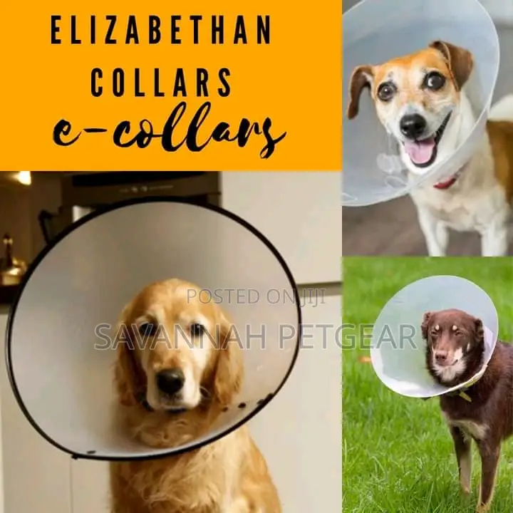 Elizabethan Collar E Collar Pet Cone For Dogs And Cats