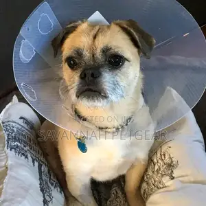 Elizabethan Collar E Collar Pet Cone For Dogs And Cats