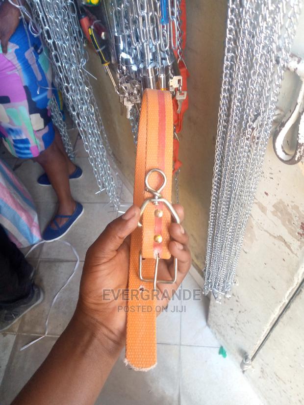 Durable Leather Dog Collar - main view