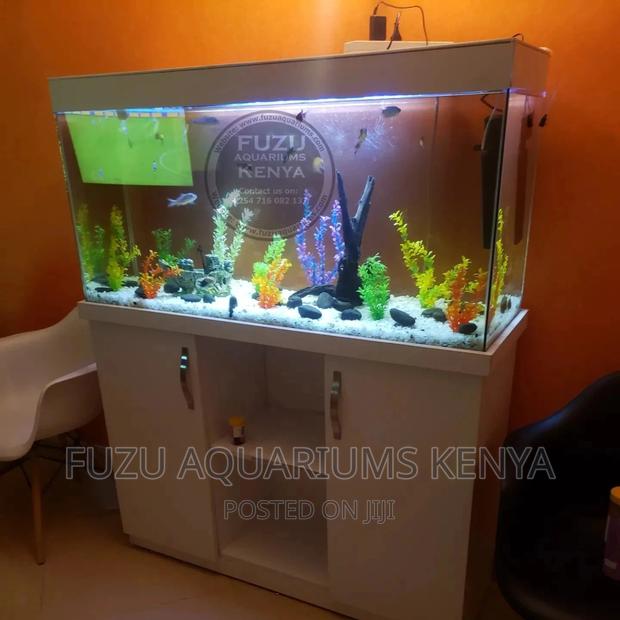 Home Or Office Aquarium - thumbnail 4