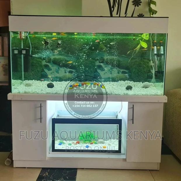 Home Or Office Aquarium - thumbnail 5