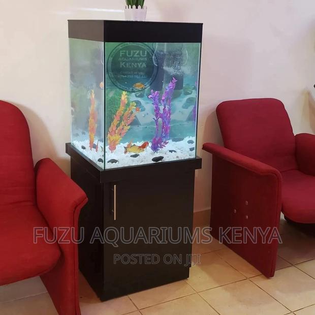 Home Or Office Aquarium - thumbnail 6