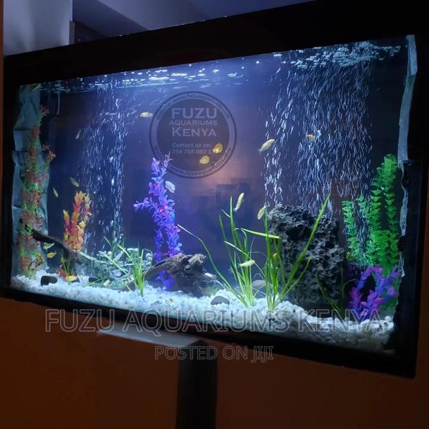 Home Or Office Aquarium - thumbnail 8