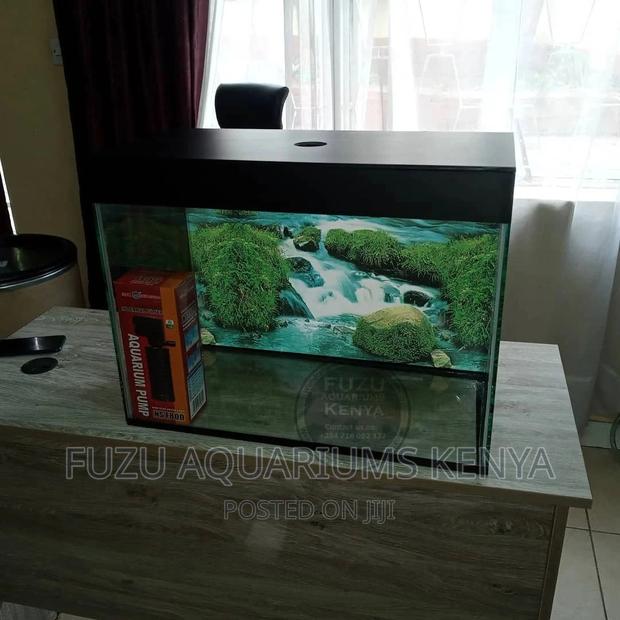 Home Or Office Aquarium - thumbnail 10