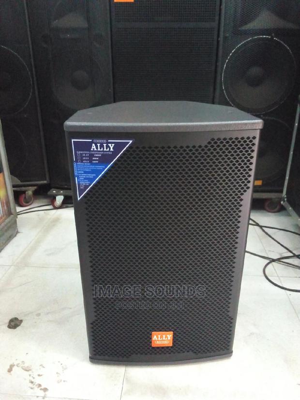 Mid-Range Speaker Ally AL-15" - main view