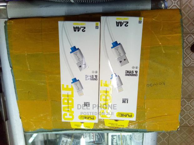 Punex iPhone USB Cable - main view