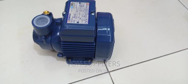 Original Pedrollo Pump 0.5hp - thumbnail 4
