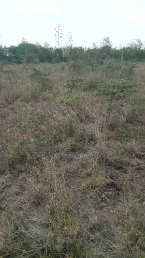 5 Acre Land for Sale in Kiserian