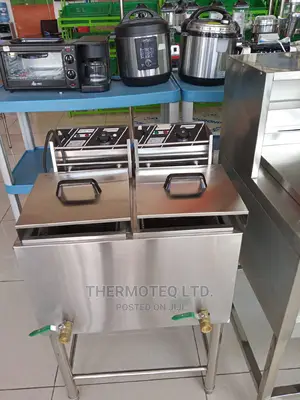 Fryer/Deep Fryer/Chips Fryer/Chicken Fryer/Double Fryer