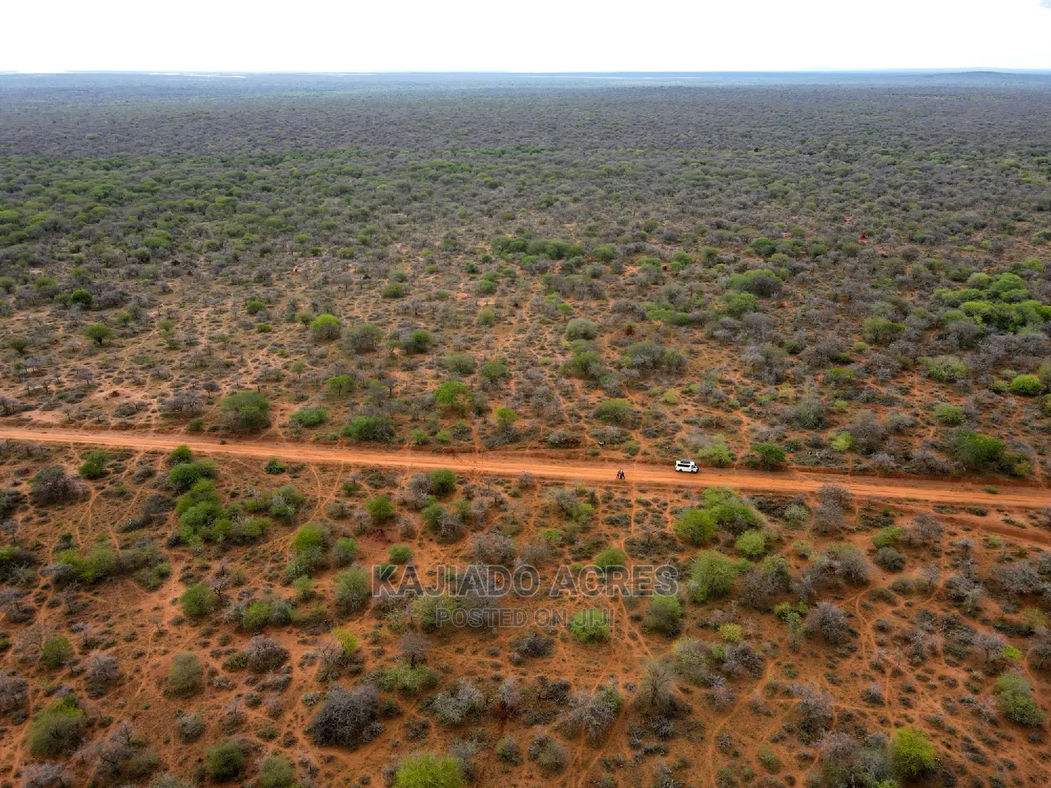 138 Acres Mailwa (Kajiado Central)At at 300k Per Acre