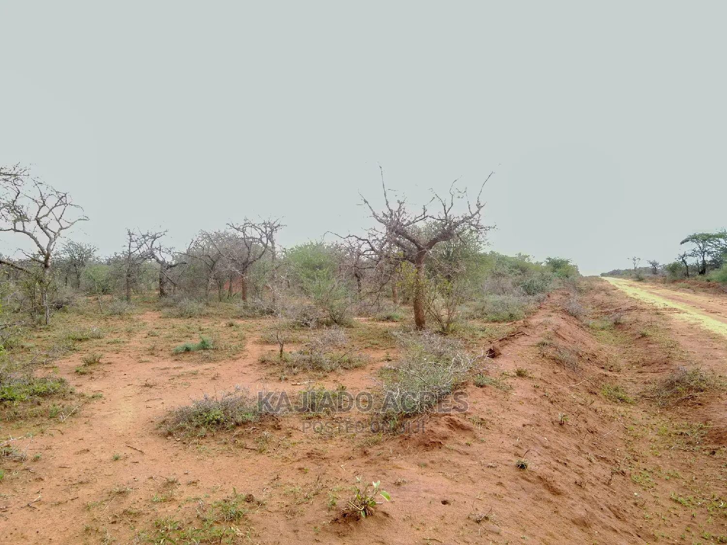 138 Acres Mailwa (Kajiado Central)At at 300k Per Acre