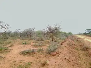 138 Acres Mailwa (Kajiado Central)At at 300k Per Acre