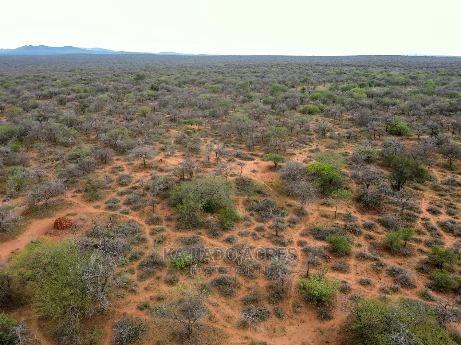 138 Acres Mailwa (Kajiado Central)At at 300k Per Acre