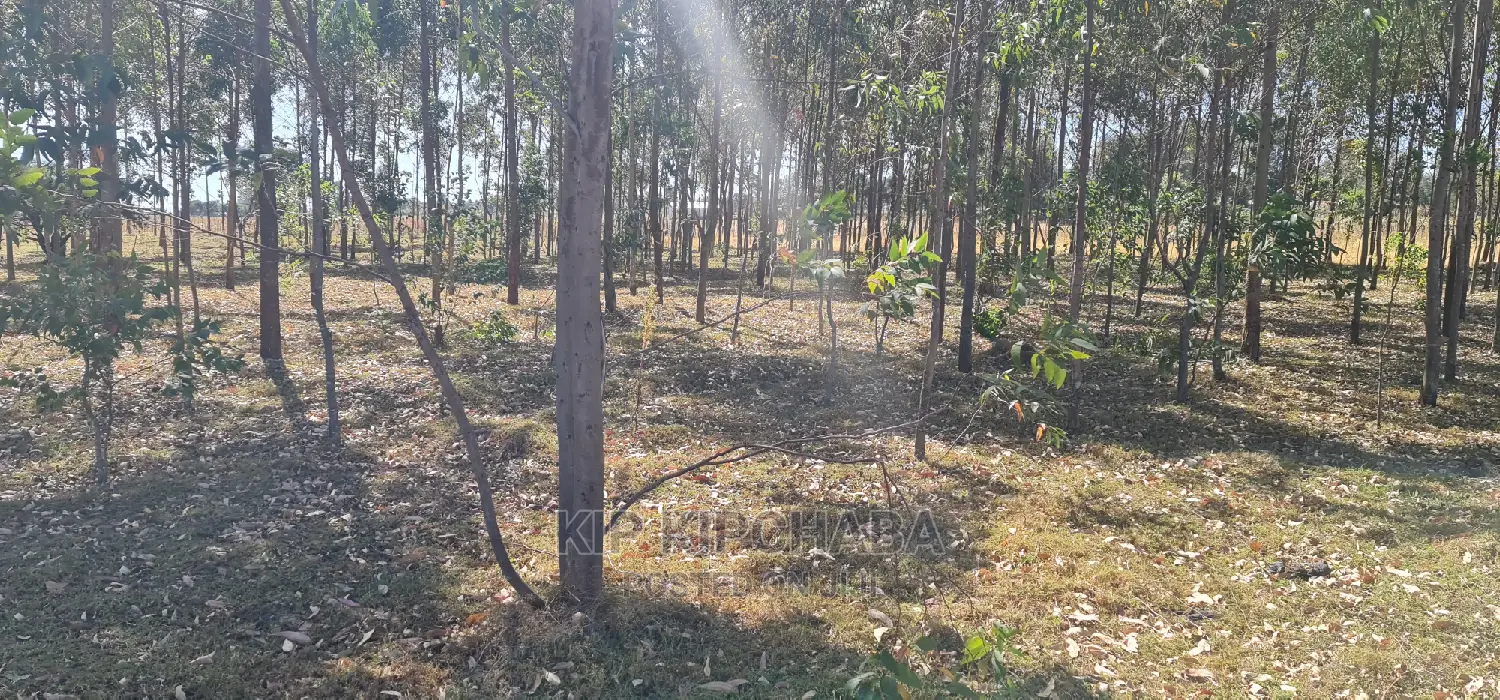 Prime 1 Acre for Sale in Sogomo Opposite Dl Farm in Eldoret