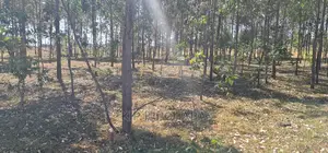 Prime 1 Acre for Sale in Sogomo Opposite Dl Farm in Eldoret