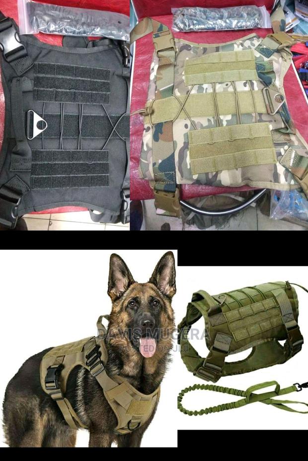 Tactical Dog Harness And Leash Medium, L, XL Sizes - thumbnail 2