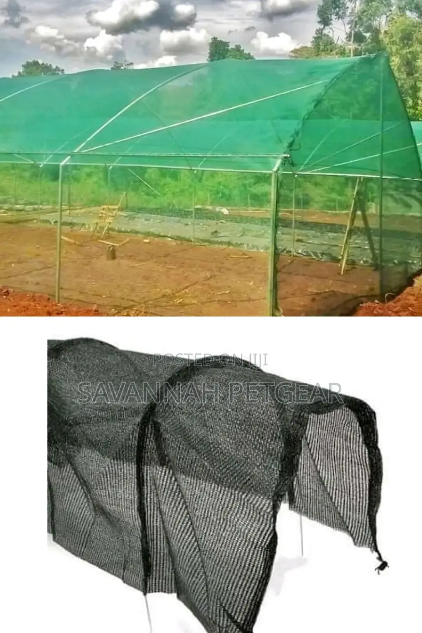 High Quality Agricultural Shade Net Tree Seedlings Nursery