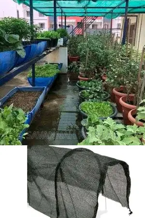 High Quality Agricultural Shade Net Tree Seedlings Nursery
