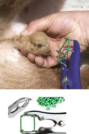 A Packet Elastrator Rubber Bloodless Castration