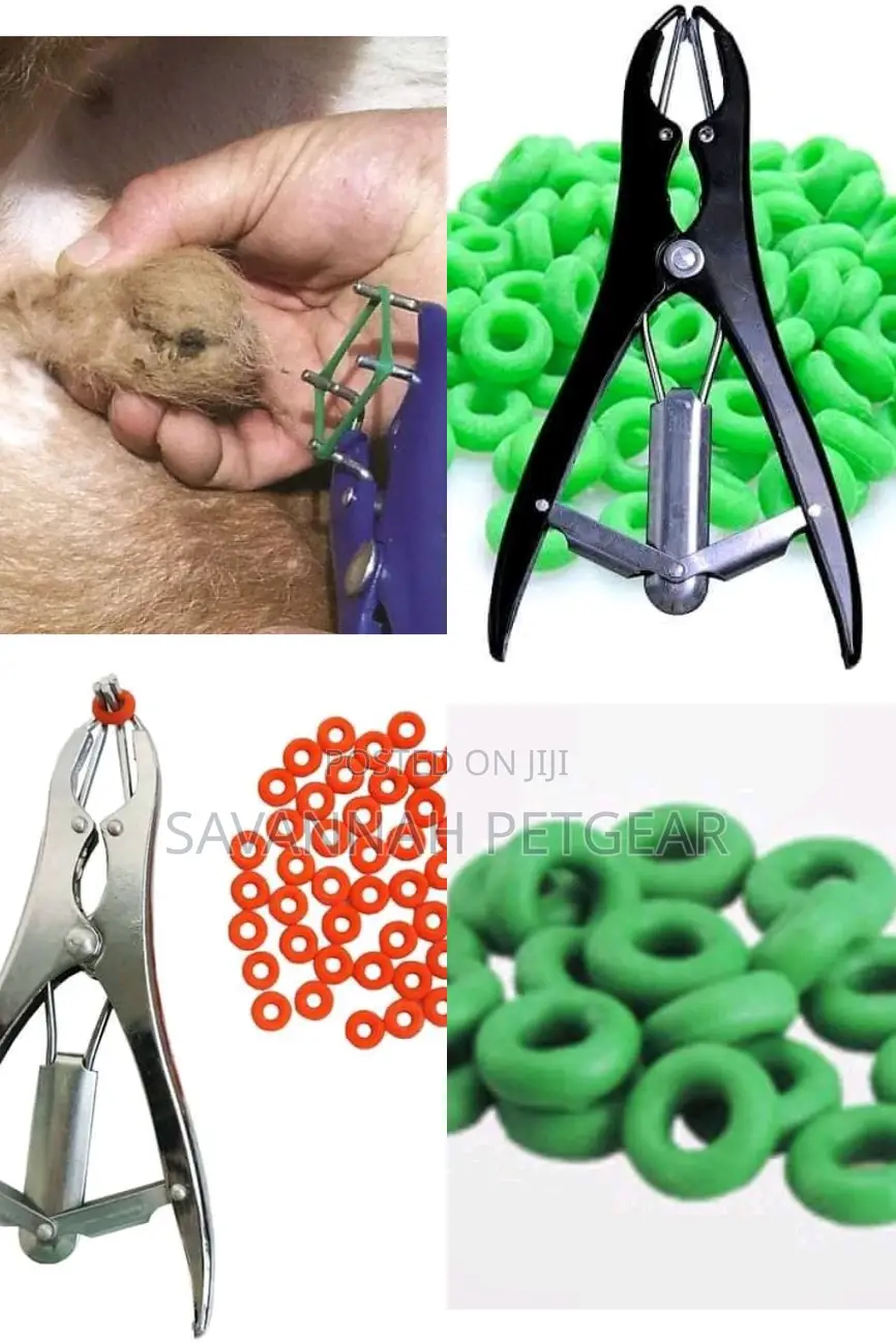 A Packet Elastrator Rubber Bloodless Castration