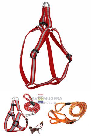 Reflective Dog Harness Night Visibility - thumbnail 2