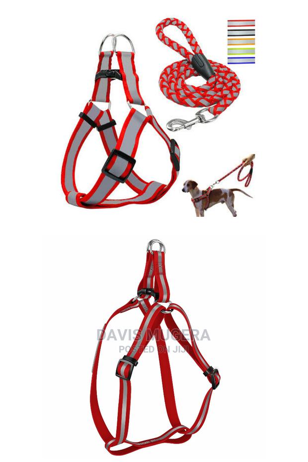 Reflective Dog Harness Night Visibility - thumbnail 3